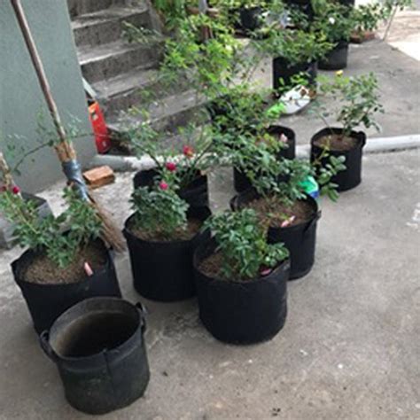 2019 Plant Grow Bags Non Woven Flower Vegetables Plant
