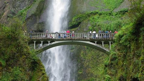 Half Day Multnomah Falls And Gorge Waterfalls Tour