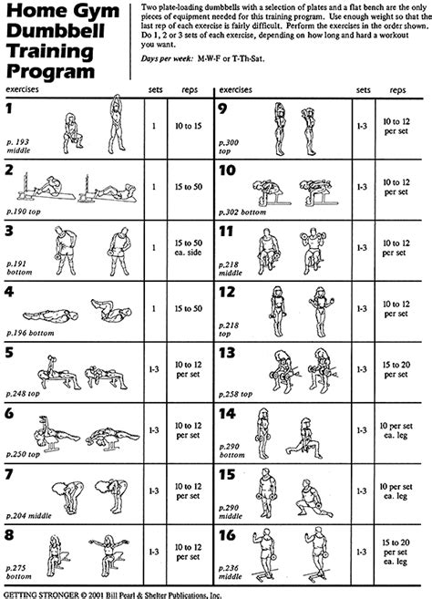 Full Body Dumbbell Workout Routine At Home Pdf