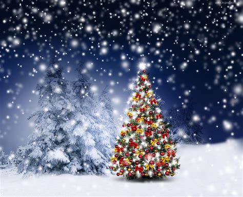 zima choinka Śnieg christmas tree holiday decor holiday