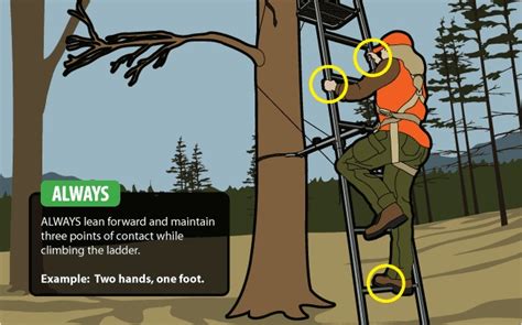 High On Safety Make Treestands Dangerous For Game Not Hunters