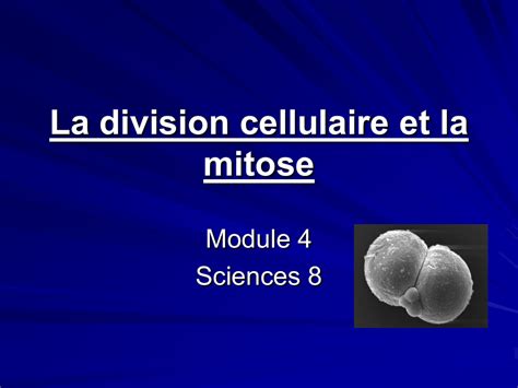 La Division Cellulaire Et La Mitose