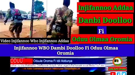 Waxabajjii 142022injifannoo Wbo Dambi Doolloo Fi Oduu Olmaa Oromia
