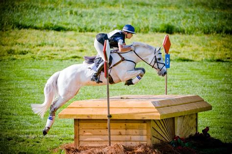 Sport Horse Nation Spotlight Studly Eventing Stallions Eventing