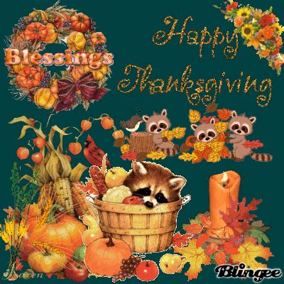 In november 1926 president calvin coolidge was sent a live raccoon from vinnie. Thanksgiving Raccoons Picture #76361013 | Blingee.com
