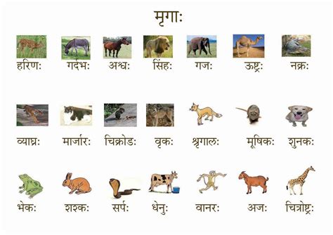 संस्कृतसंजीवनी Animal Names In Sanskrit