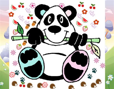 Dibujo De Panda De Pais Maravilloso Pintado Por En El Día