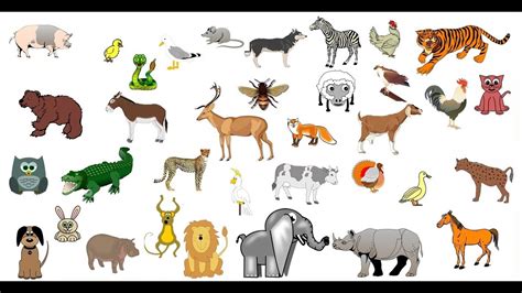 Los Sonidos De Los Animales Para Niños De 1 A 5 Años Animados Youtube