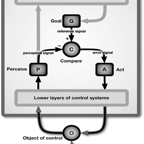 Presents A Simplified Picture Of How Control Systems Work In Human
