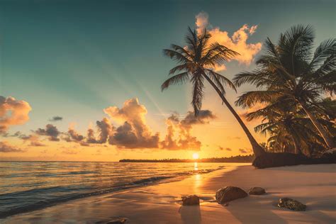 Tropical Beach In Punta Cana Wallpaper