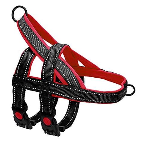 The Best Escape Proof Dog Harnesses For Your Canine Houdini