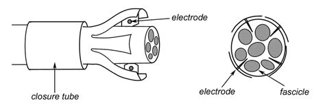 Schematic Of The Slowly Penetrating Interfascicular Electrode Spine