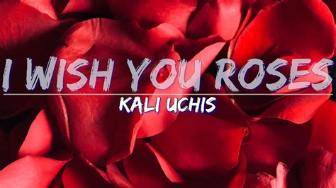 Kali Uchis I Wish You Roses Lyrics Full Audio 4k Video YouTube