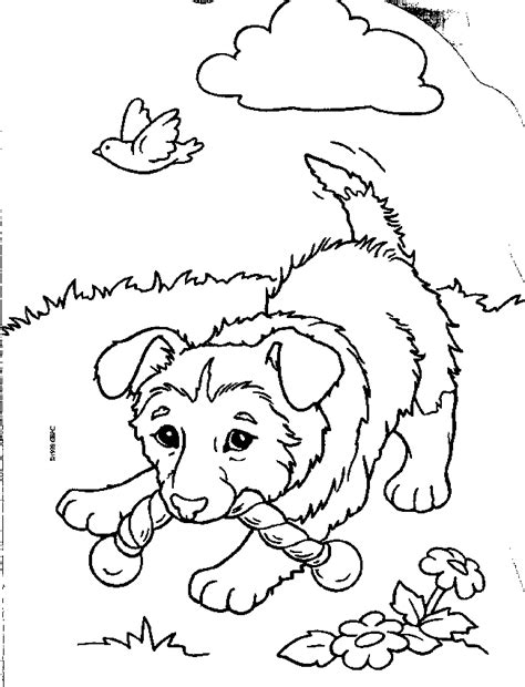Home/animal coloring pages/little puppy coloring pages. Animals Coloring Pages | Cute Puppy Playing | Kids Coloring Pages