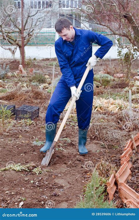 Man Digging Soil Stock Photo Image Of Digging Cultivate 28539606