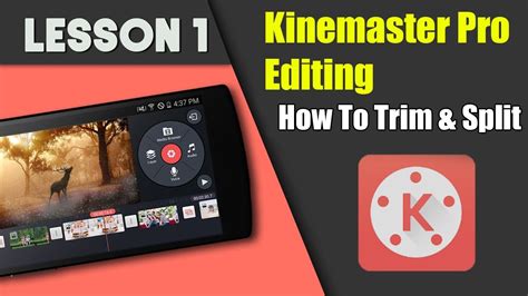 Kinemaster Pro Tutorial Darelorank