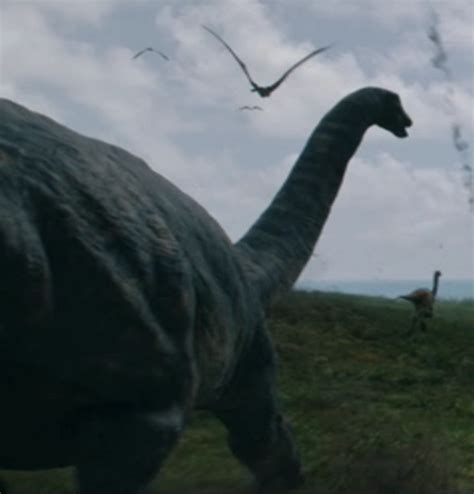 Apatosaurus Sp Sf Jurassic Pedia