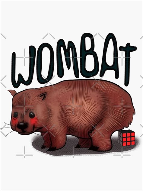 Wombat Sticker For Sale By Sambuko Redbubble