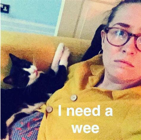 18 weird things cat owners will never admit they secretly do