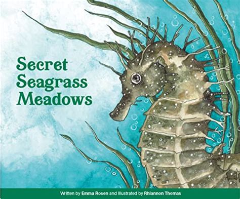Secret Seagrass Meadows Ebook Rosen Emma Thomas Rhiannon Amazon