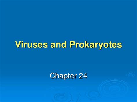 Ppt Viruses And Prokaryotes Powerpoint Presentation Free Download