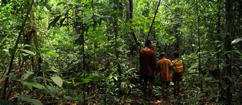 Selva colombiana descubre sus principales atractivos turísticos