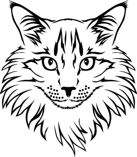 7456 I Love My Maine Coon Cat Svg Download Free