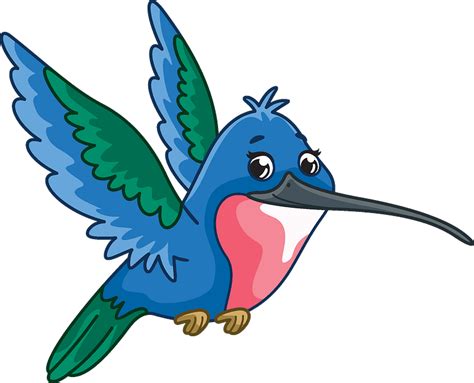 Hummingbird Clipart Free Download Transparent Png Creazilla