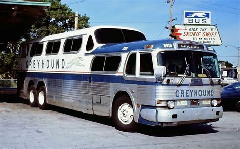 Scenicruiser Bus Greyhound Greyhound Bus