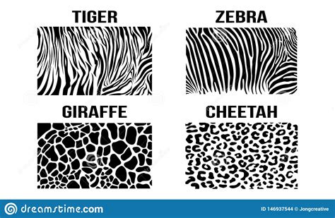 Black White Cheetah Giraffe Zebra Tiger Vector Skin Pattern Texture
