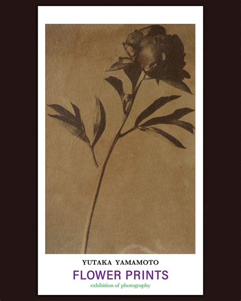 Exhibition Yutaka Yamamoto Flower Prints October 22~november 7 2021