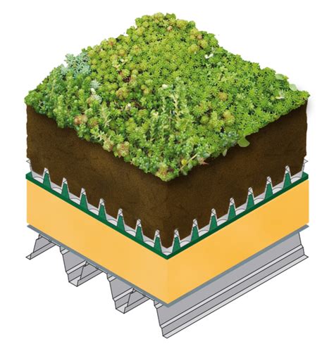 Optigrun Sedum Green Roof System By Optigrun