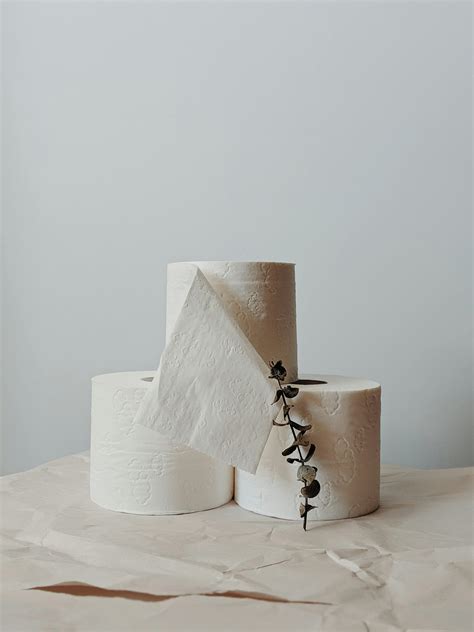 Stack Of Toilet Paper Rolls · Free Stock Photo