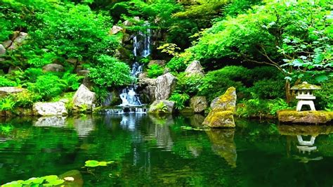 Musica relaxante oriental japonesa para relaxamento zen e paz 1 hora. Música Relaxante - Sons da Natureza, Calma a Mente, Medita ...