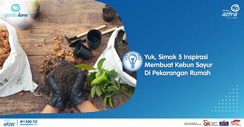 Ketahui cara membuat tanaman berbunga dan menghasilkan sayuran. Kebun Sayur Di Halaman Rumah / Kendati demikian, merawat ...