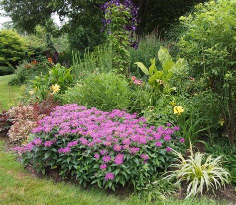 26 Perennial Garden Design Ideas Сад
