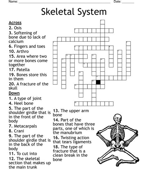 Human Skeletal System Word Search Puzzle By Puzzles To Print Tpt