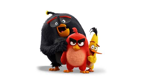 Everything You Need To Know About ‘angry Birds Netflix Tudum