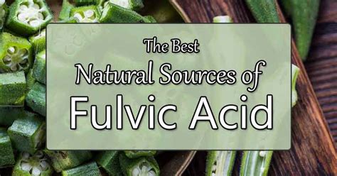 6 Best Natural Sources Of Fulvic Acid Superfood Journal