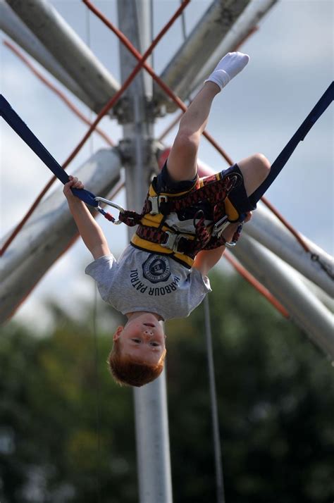 Chertsey Agricultural Show 2014 Surrey Live