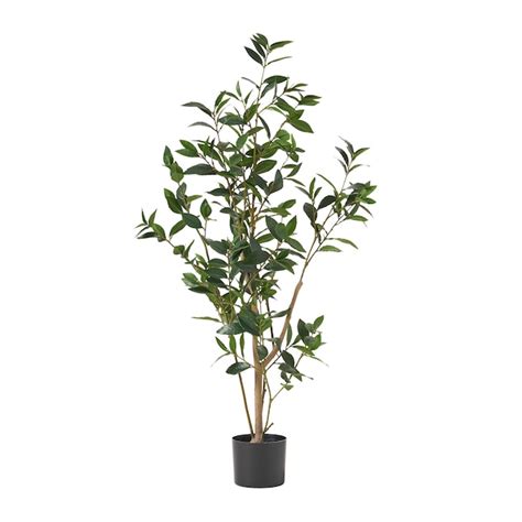 Best Selling Home Decor 47 In Green Black Indoor Artificial Mixed