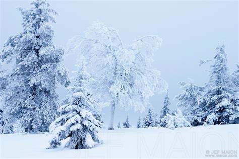 Image Snow Landscape On A Cloudy Day Stock Photo By Jf Maion