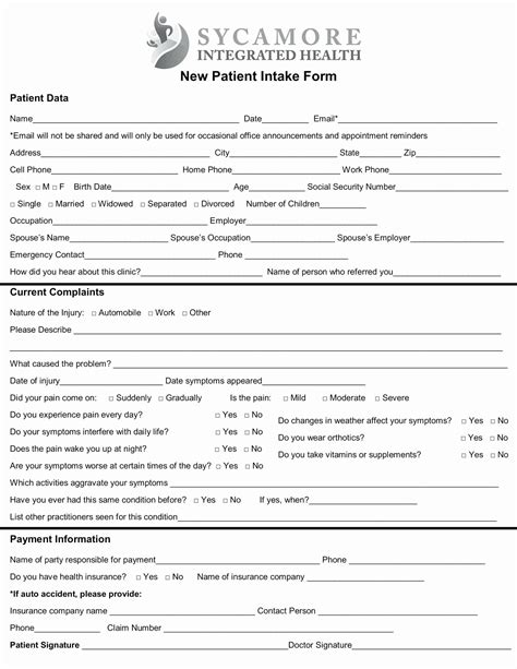 New Patient Intake Form Template Peggy Kings Template