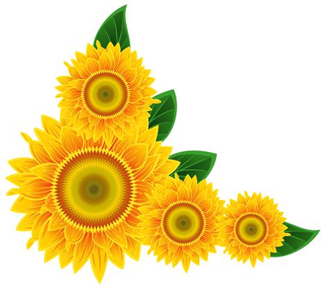 Sunflower Free Sunflower Clip Art Free Clipart Images Clipartbold