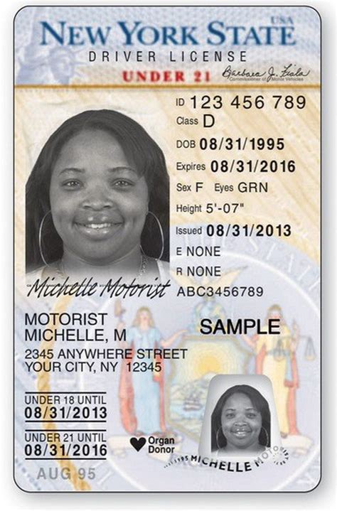 First Look At New Driver S License For New York Stiff Black And White And Virtually Tamper