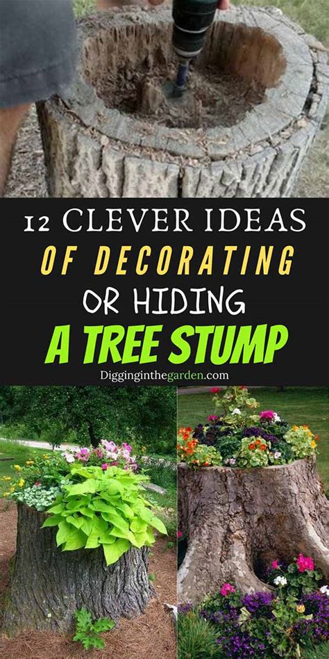 Top 6 Decorative Ideas For Tree Stumps