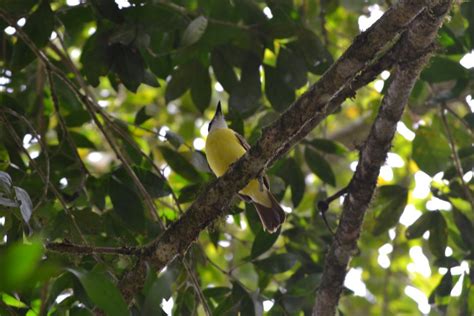 Foto Centro Biologico Las Quebradas Las Quebradas De Pérez Zeledón