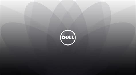 Dell Logo Wallpapers Wallpaper Cave