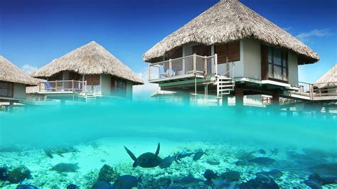 Best Overwater Bungalows Bora Bora 2020 Overwater Bungalow Destinations