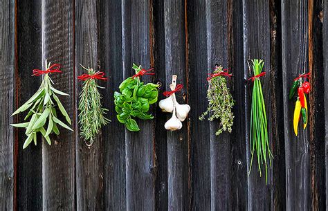 15 Types Of Herbs And Their Uses